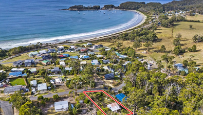 Picture of 13 Olsons Road, EAGLEHAWK NECK TAS 7179