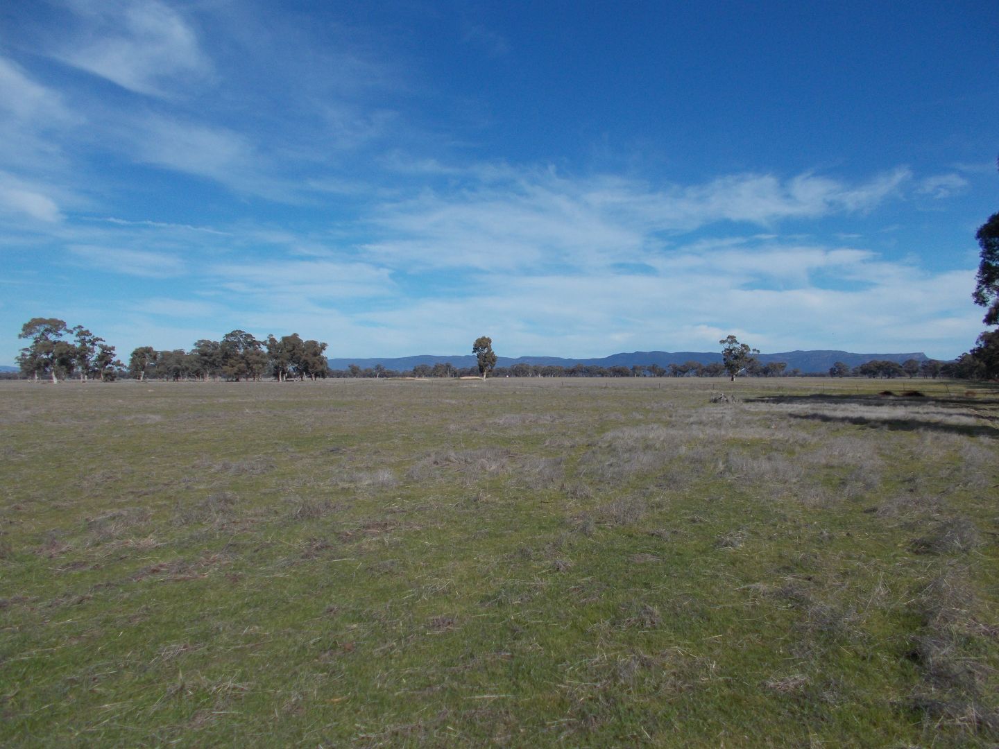 . Phillips Road, Glenorchy VIC 3385, Image 1