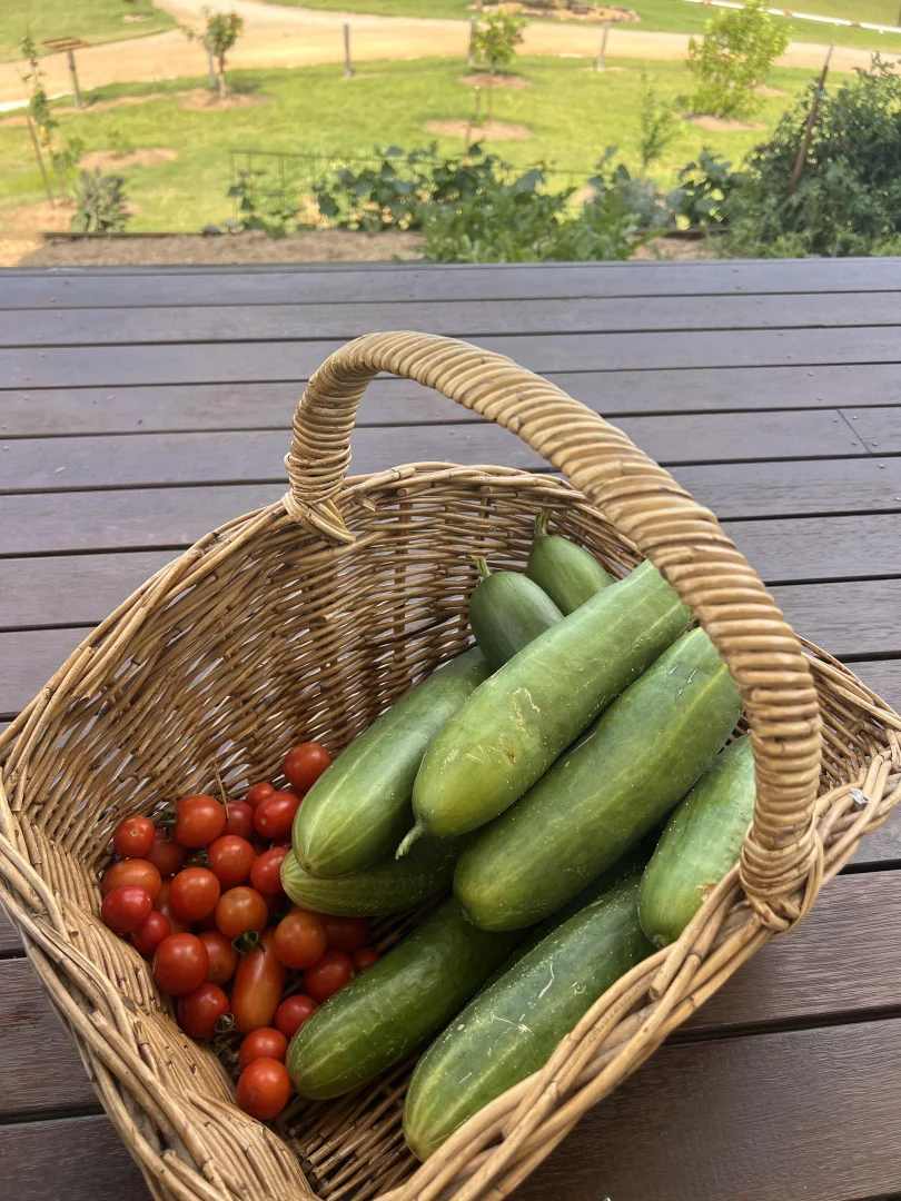Image 14