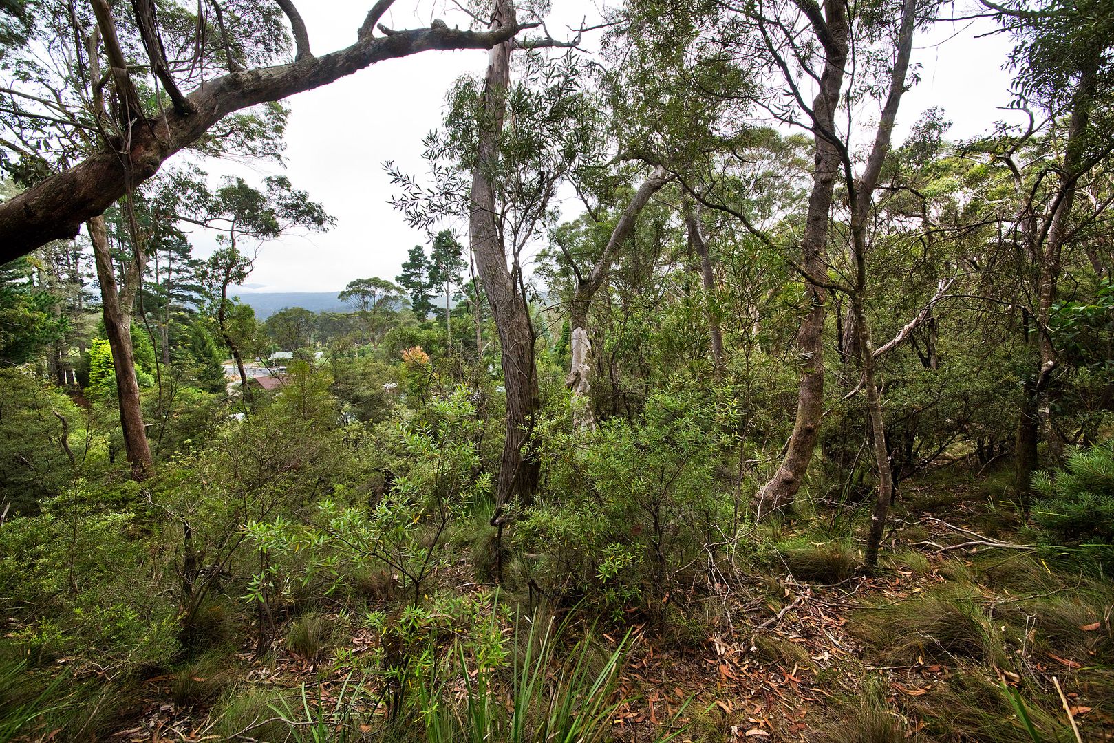 Lot 17 Victoria Street, Mount Victoria NSW 2786, Image 1