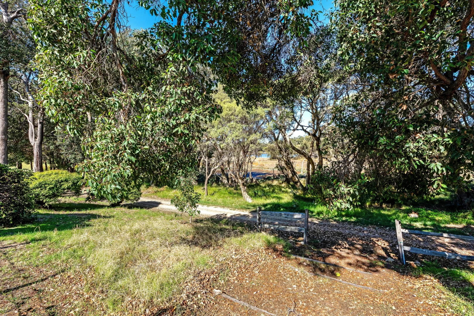 Image 32