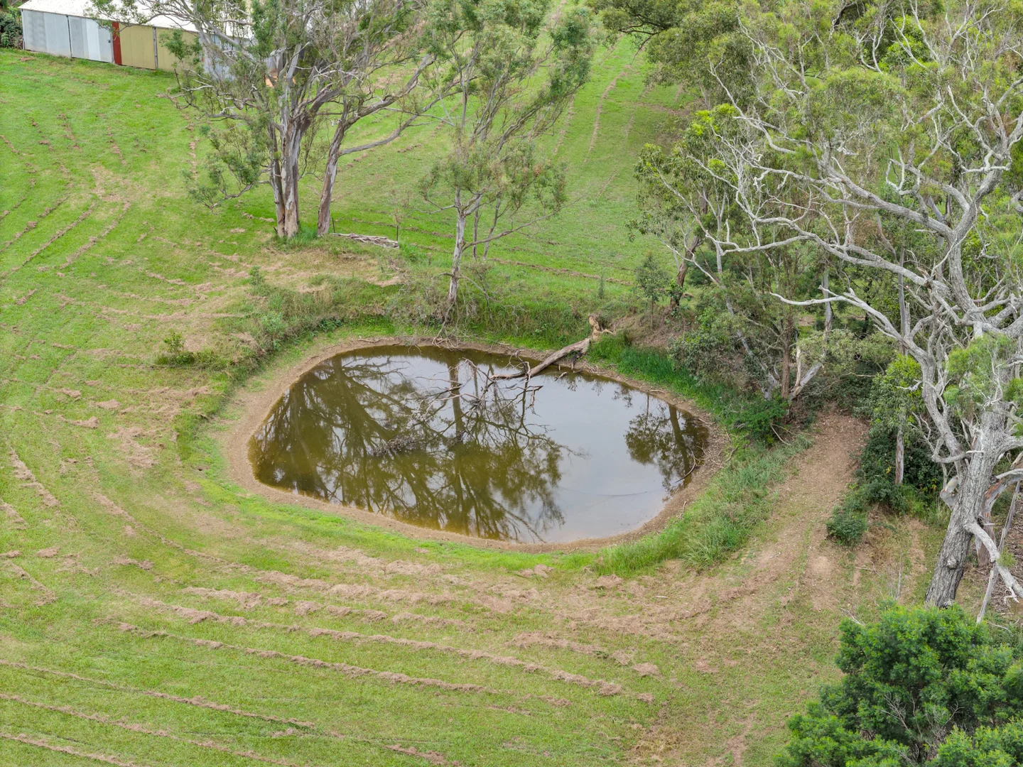 Image 17
