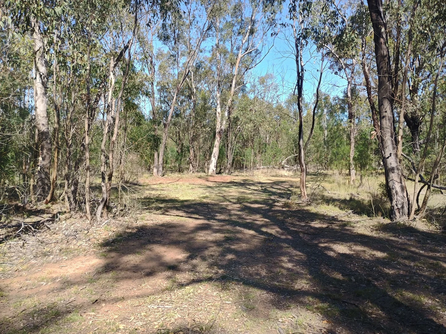 Image 8