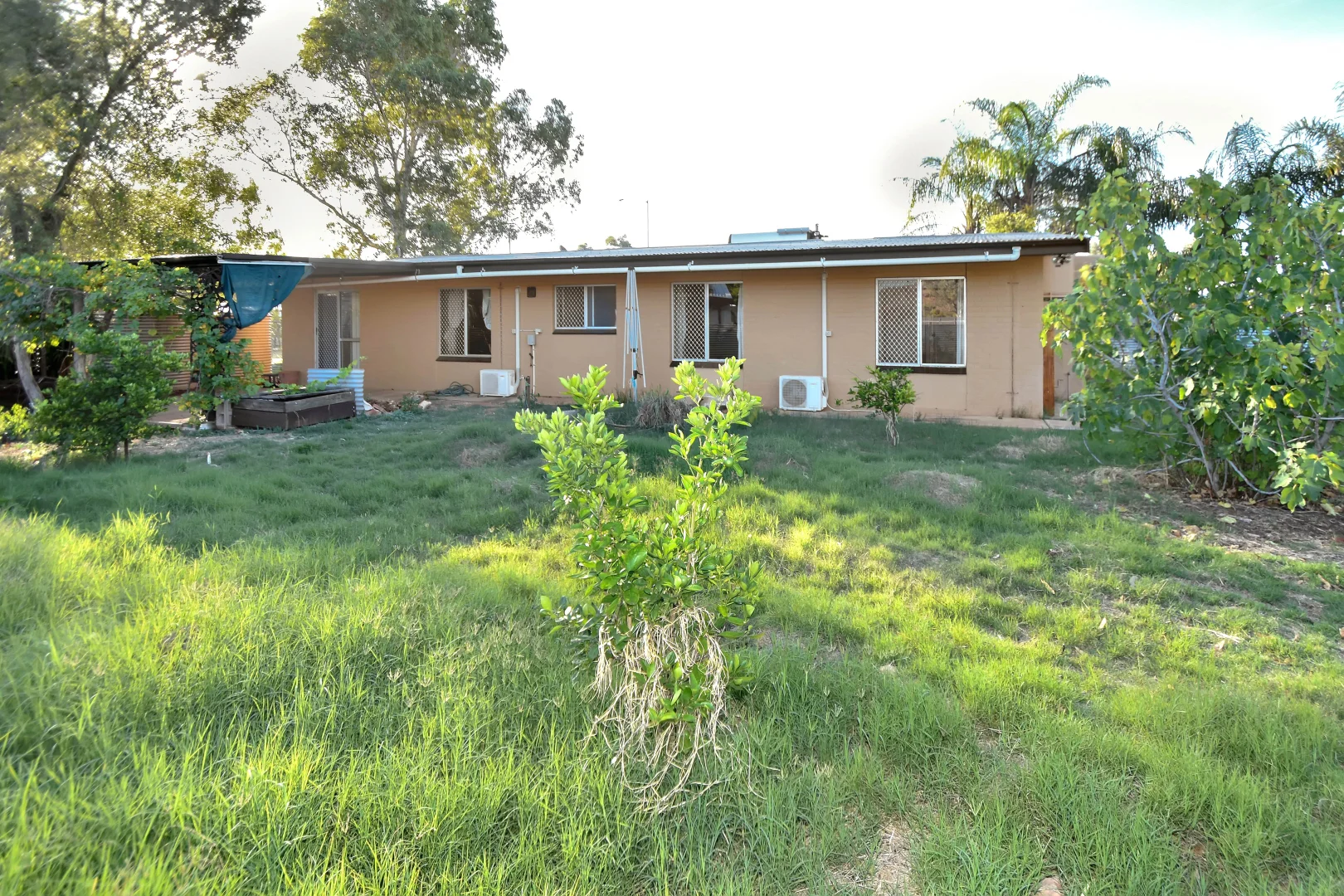 Image 25