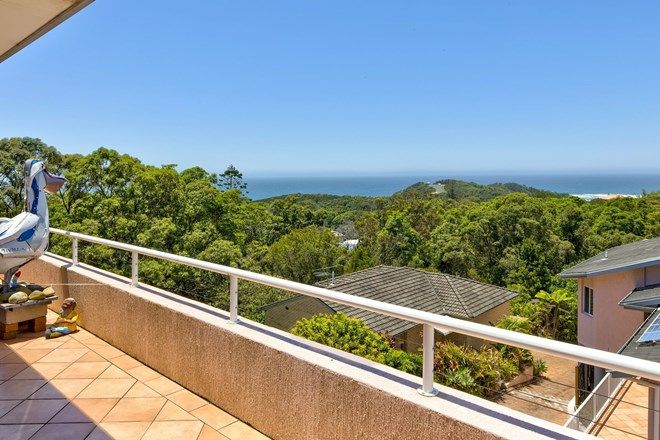 236 Real Estate Properties For Sale In Nambucca Heads Nsw 2448 Domain