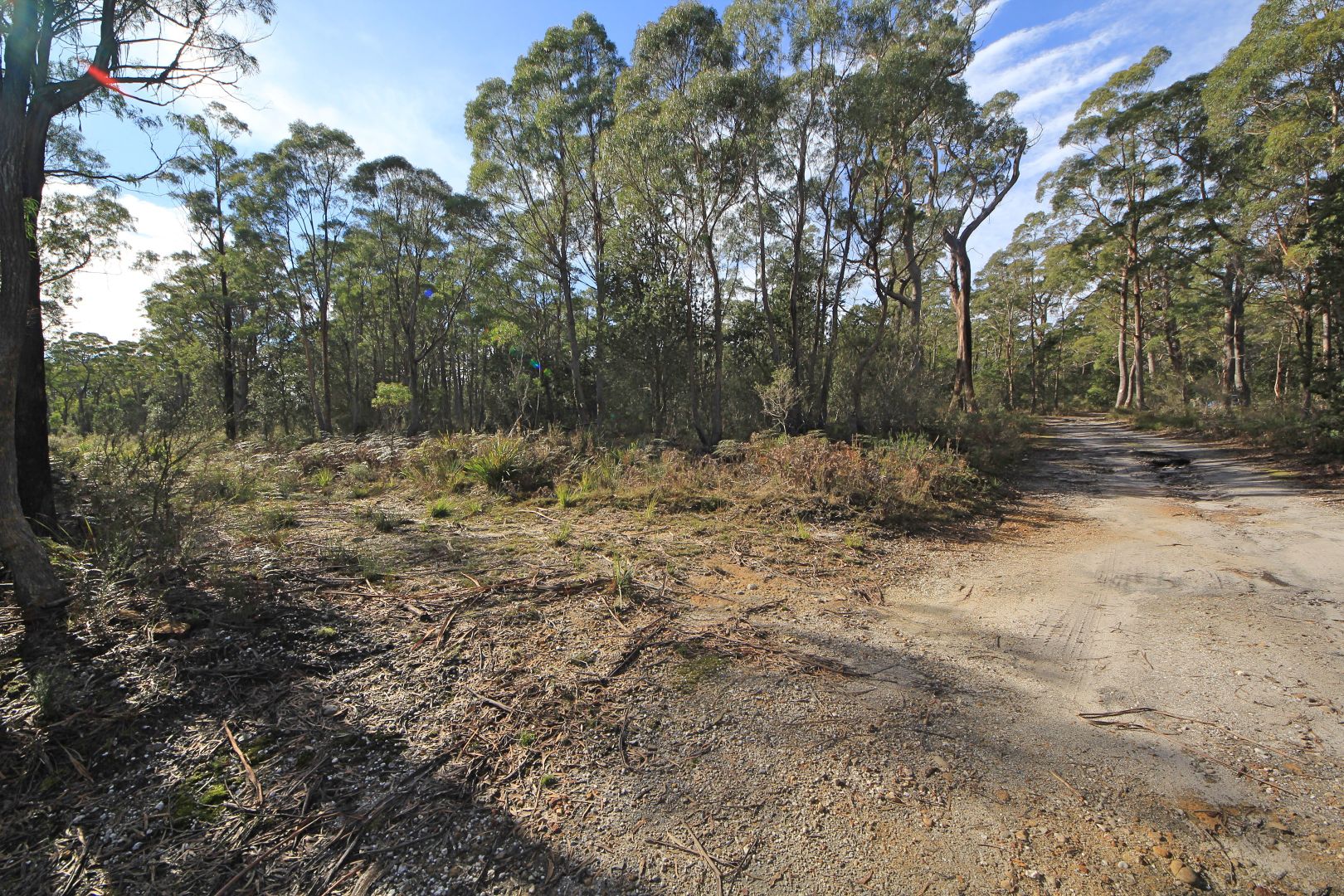 PID 7428085 Elephant Pass Road, St Marys TAS 7215, Image 2