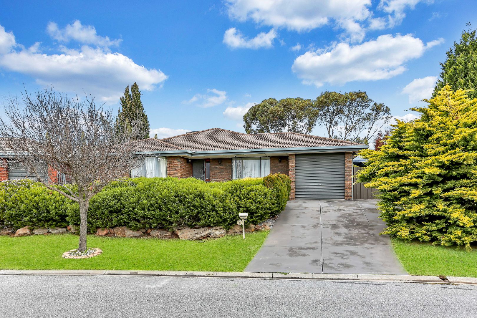 8 Austerlitz Court, Greenwith SA 5125, Image 1