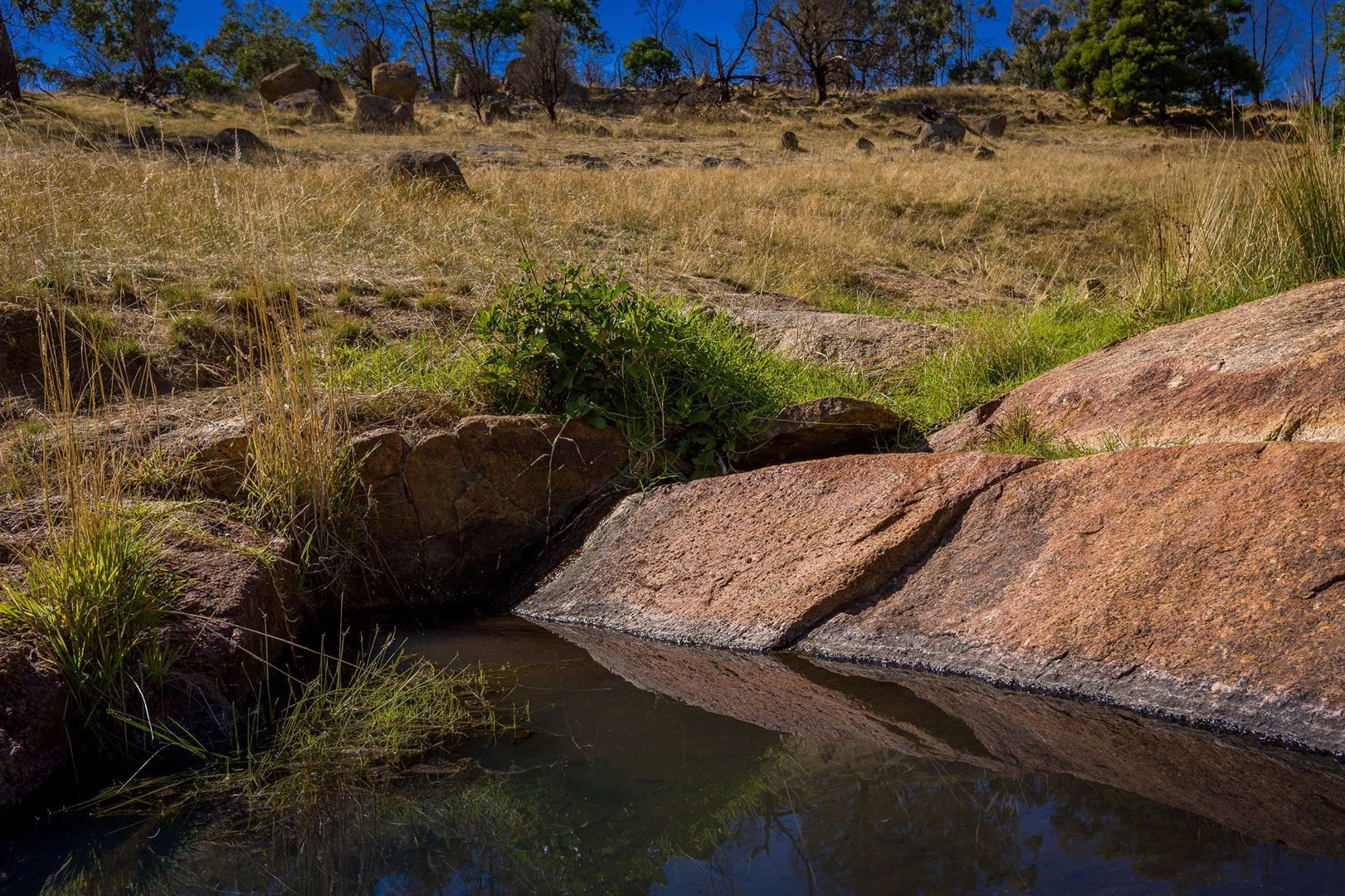 0 Longwood-Mansfield Road, Creightons Creek VIC 3666, Image 1