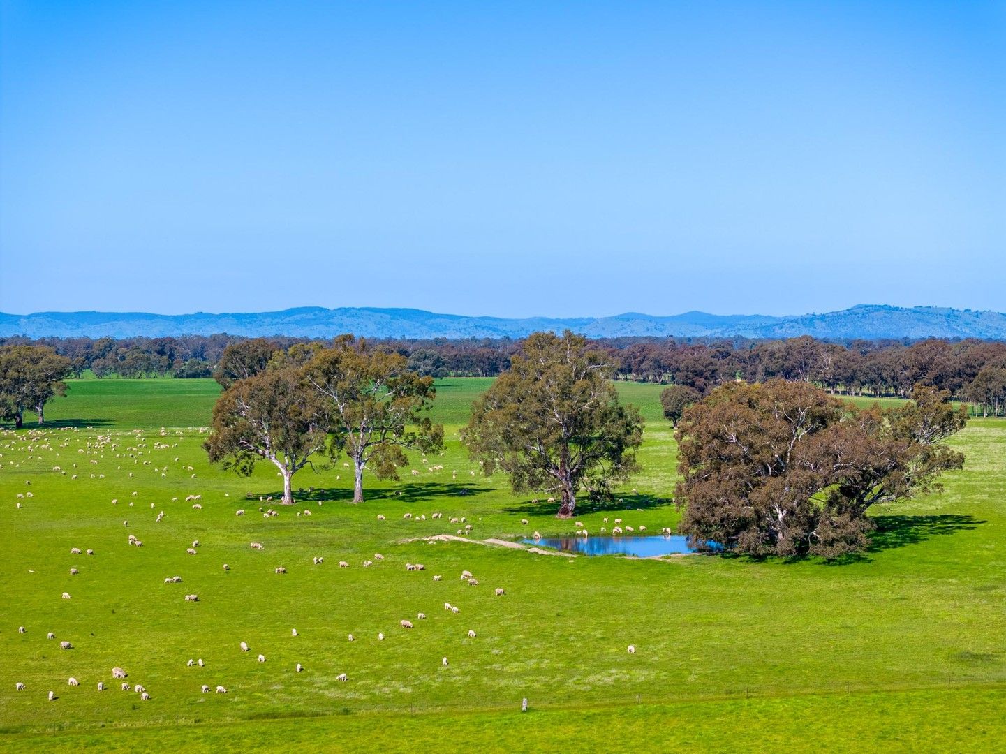 1350 Geodetic Road, Euroa VIC 3666, Image 0