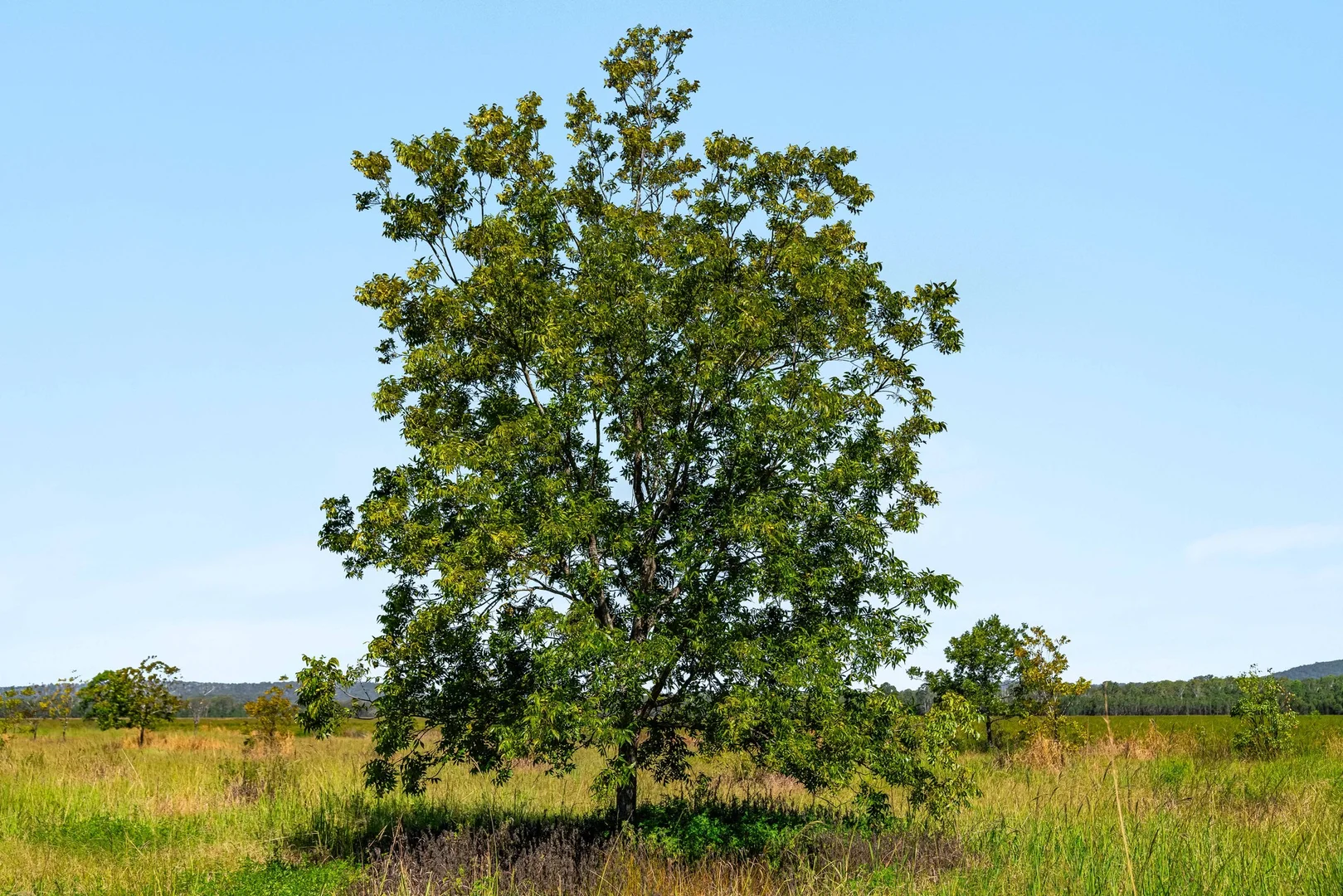 Additional image 24 of 1190 Bungawalbin Whiporie Road, Bungawalbin NSW 2469