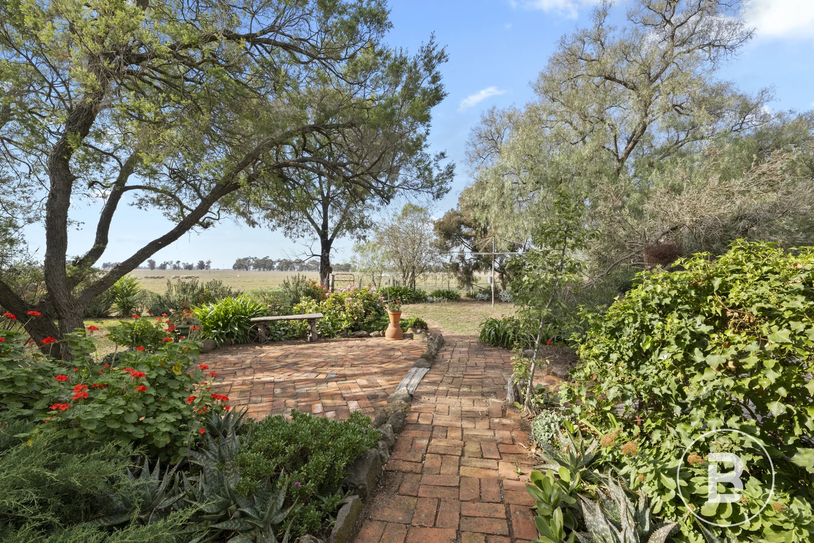 Image 21