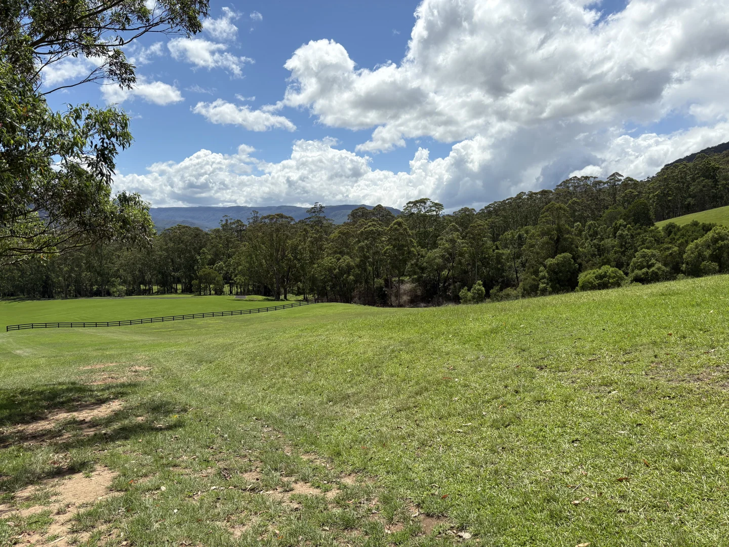 Image 20