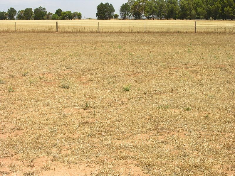 Lot 10 Henry Turton Circuit, WASLEYS SA 5400, Image 1