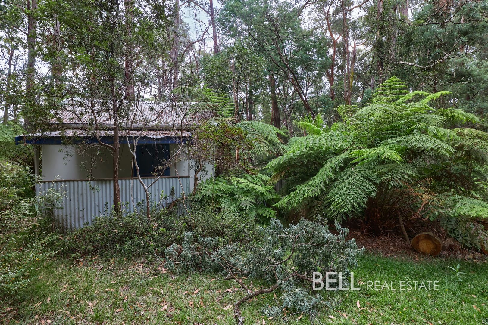 48 Fairy Dell Road, Monbulk VIC 3793, Image 1