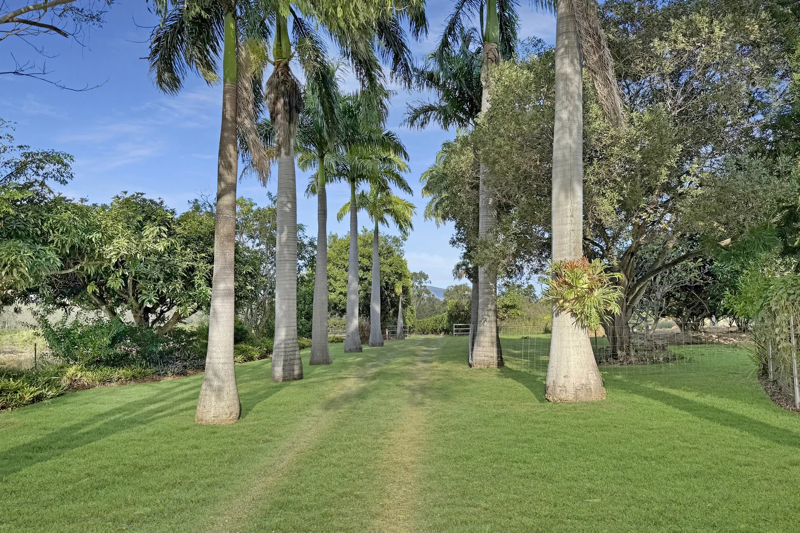 Additional image 32 of 362 Springmount Road, Mutchilba QLD 4872