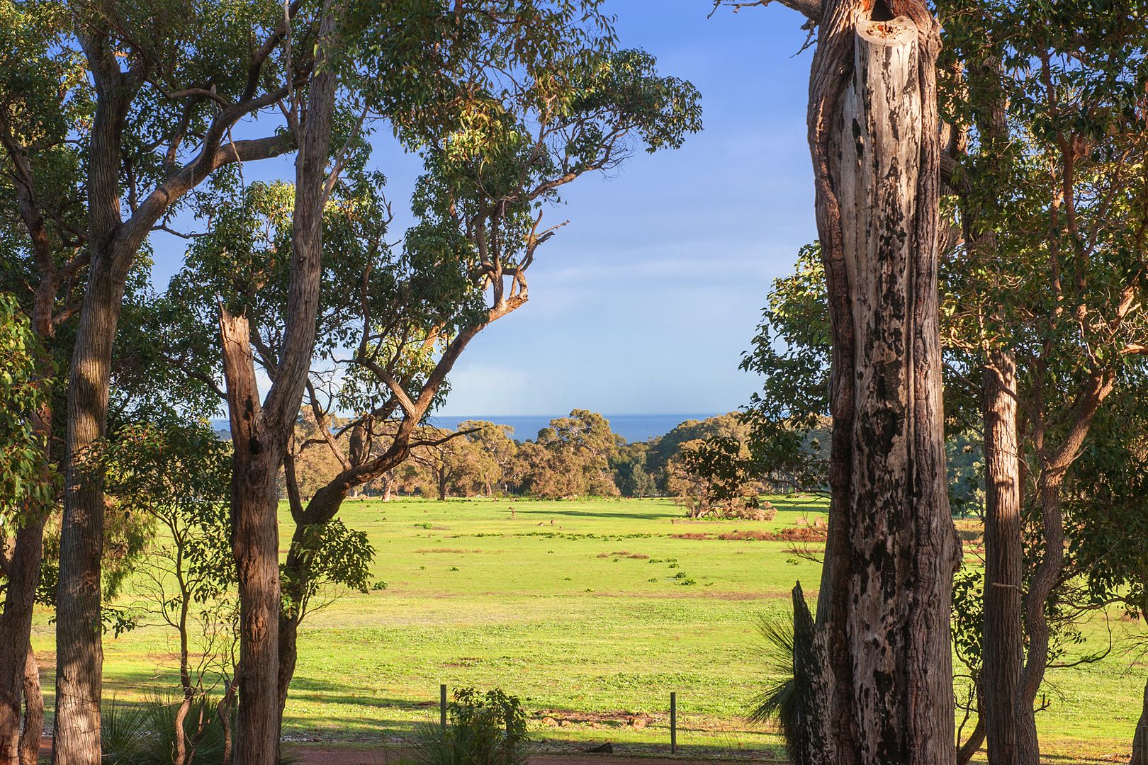 37 Grasstree Place, Yallingup WA 6282, Image 1