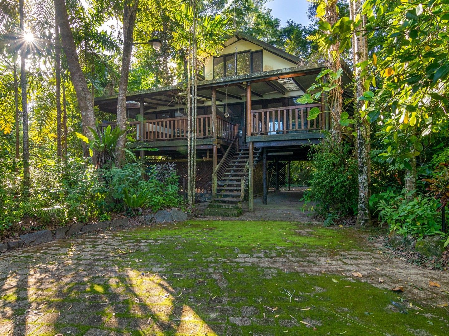 436 Cape Tribulation Road, Daintree QLD 4873, Image 0