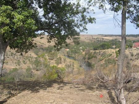 Picture of Piggott Range Road, OLD NOARLUNGA SA 5168