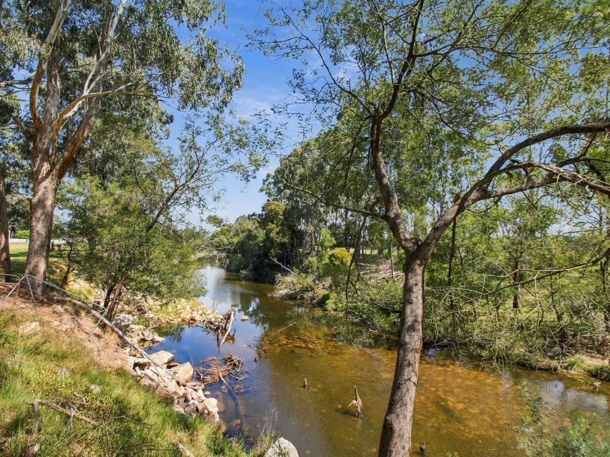 325 Monaro Highway, Cann River VIC 3890 - House for Sale - $585,000