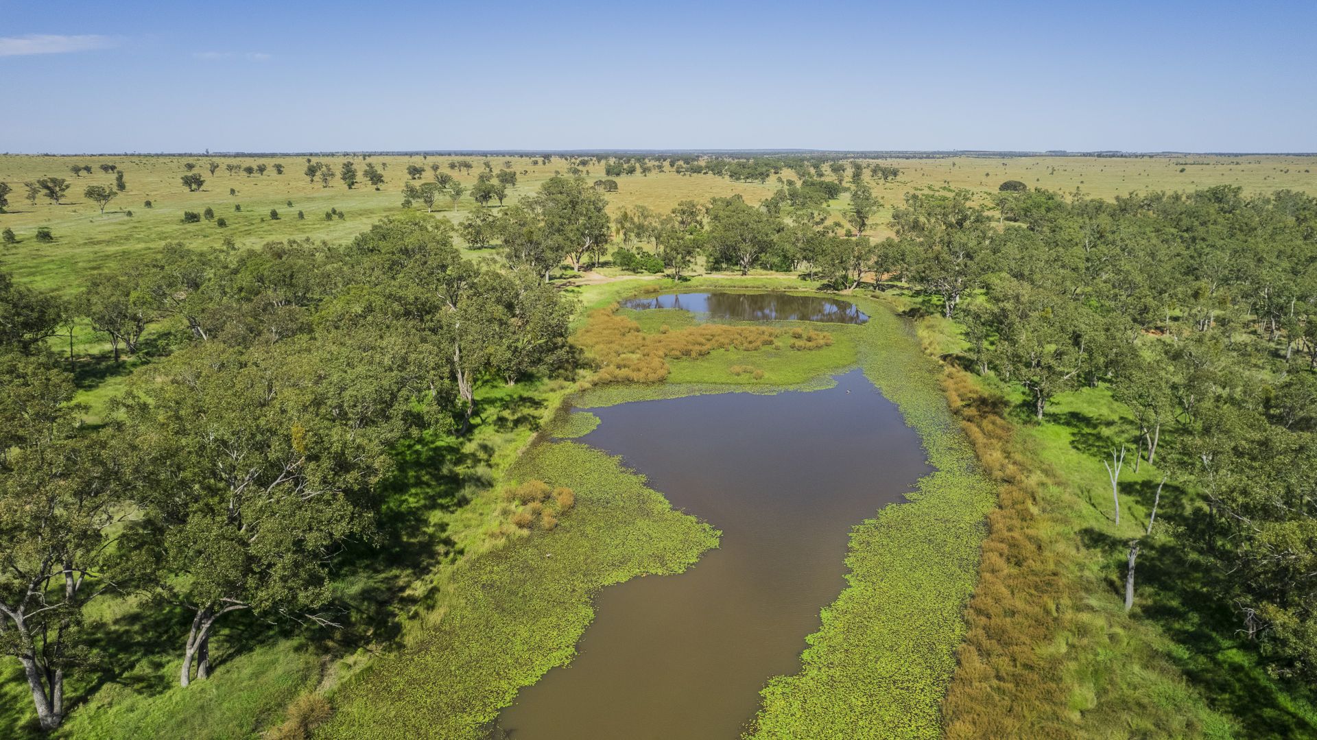 5673 Tomoo Road Mungallala Via Roma, Roma QLD 4455 Specialist Farm