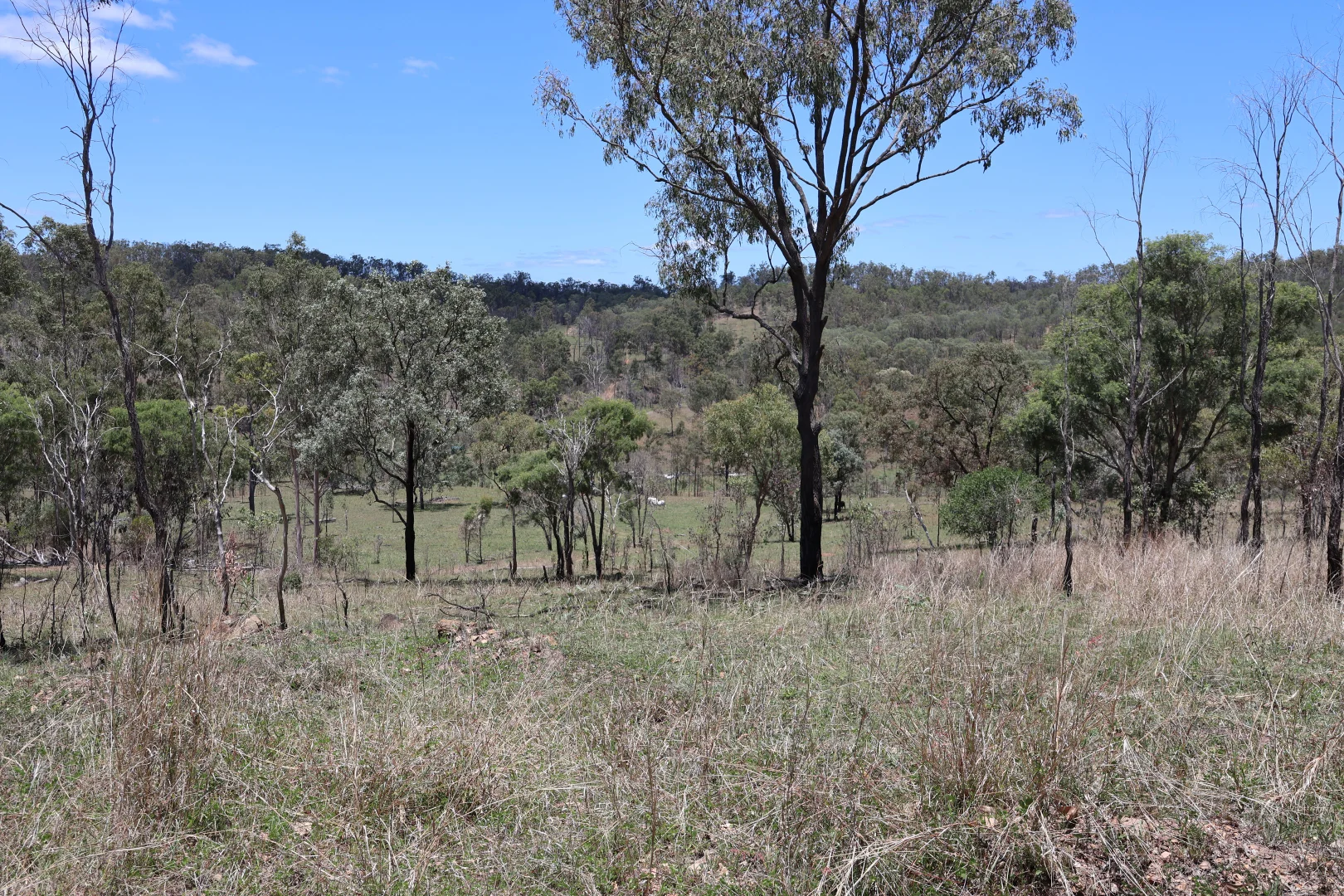Image 12