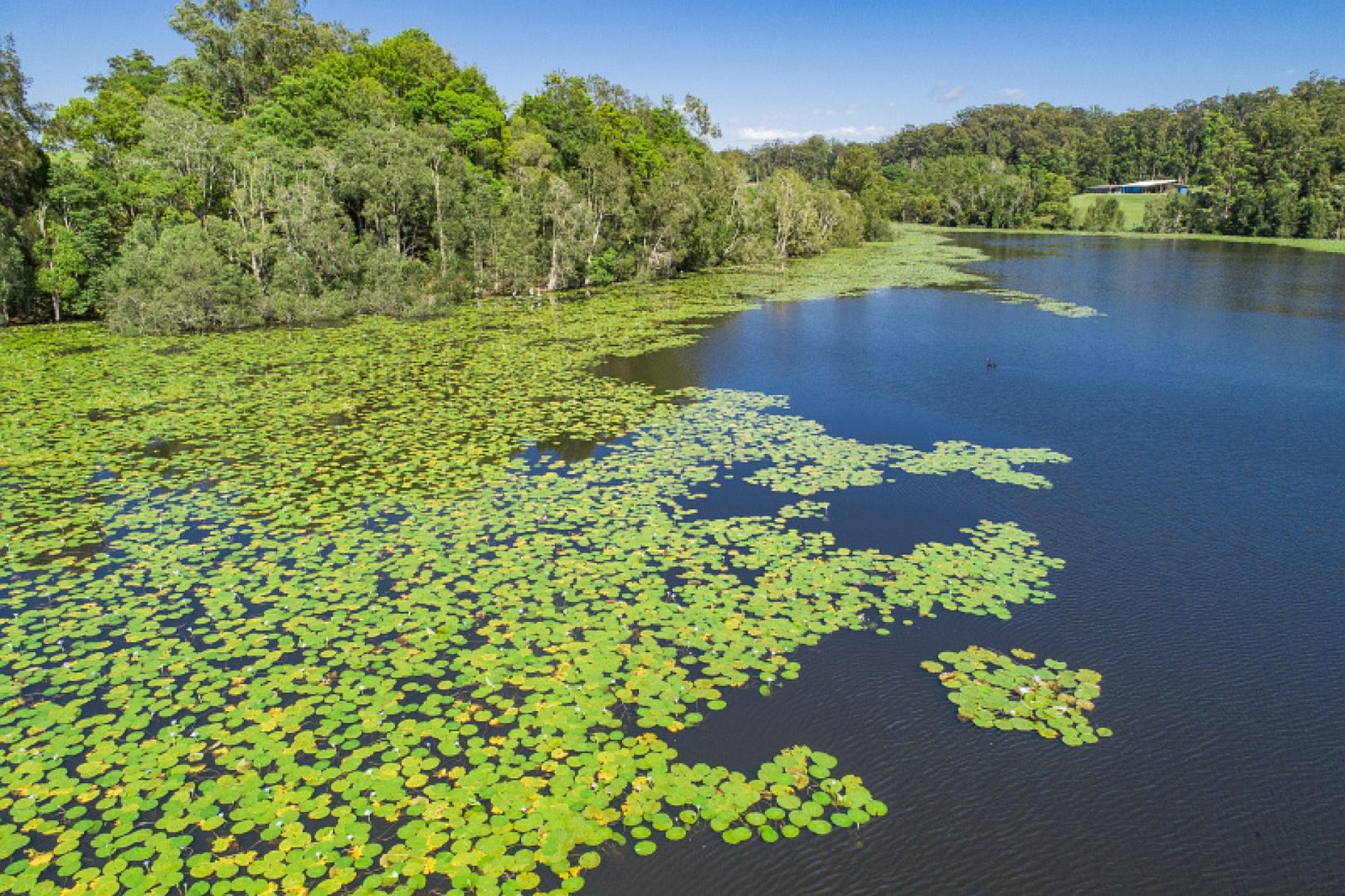 Lot 12 Rosella Ridge Estate, North Macksville NSW 2447, Image 2