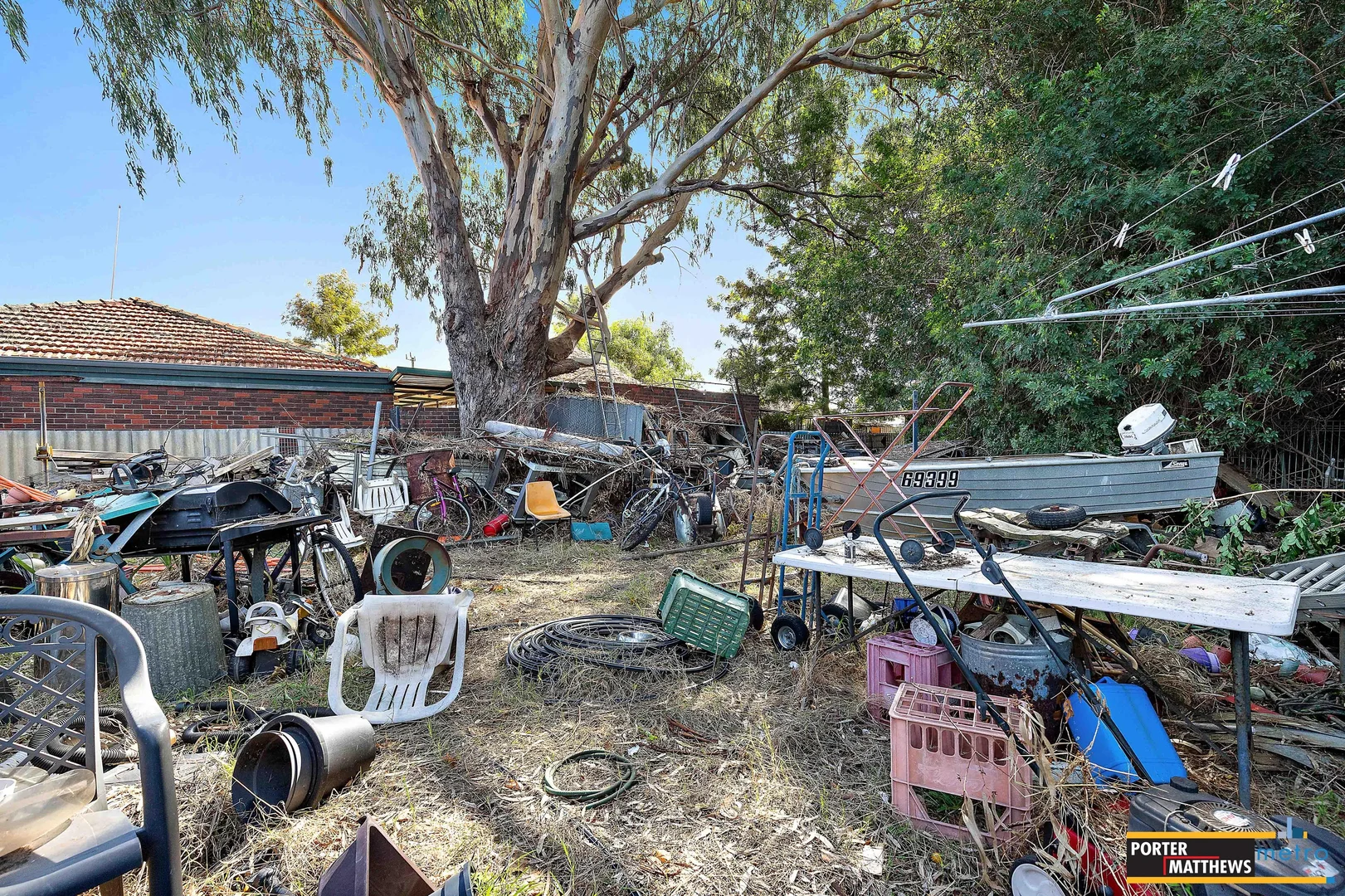 Image 12