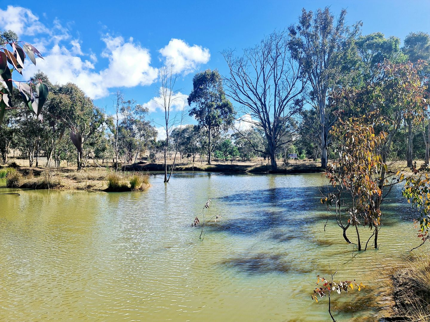 478 Warwick Killarney Road, Park QLD 4370 House for Sale
