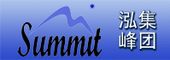 Logo for Summit International Investment Group