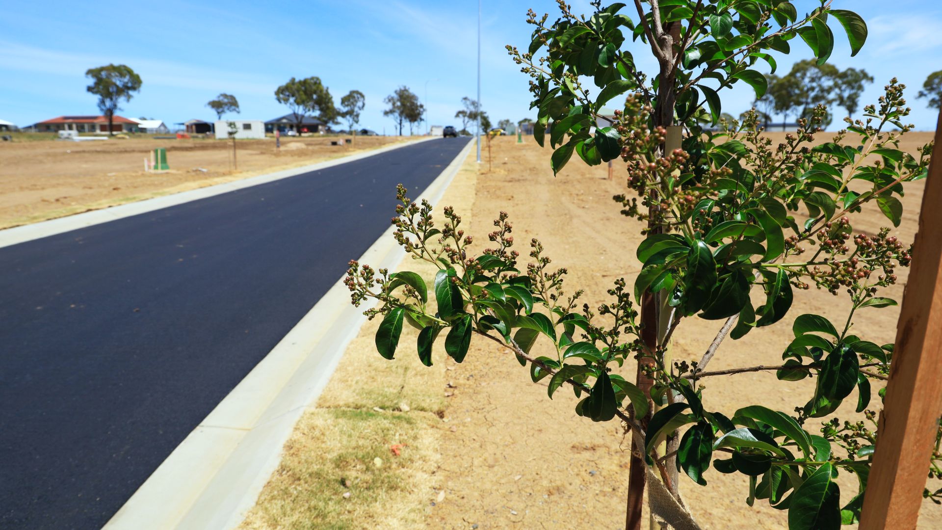 Lot 50 Jacob Drive (Warner Rise Estate), Warwick QLD 4370, Image 1