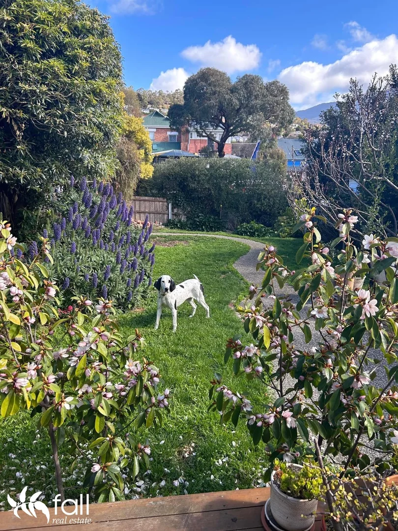 Additional image 11 of 8 Denison Street, South Hobart TAS 7004