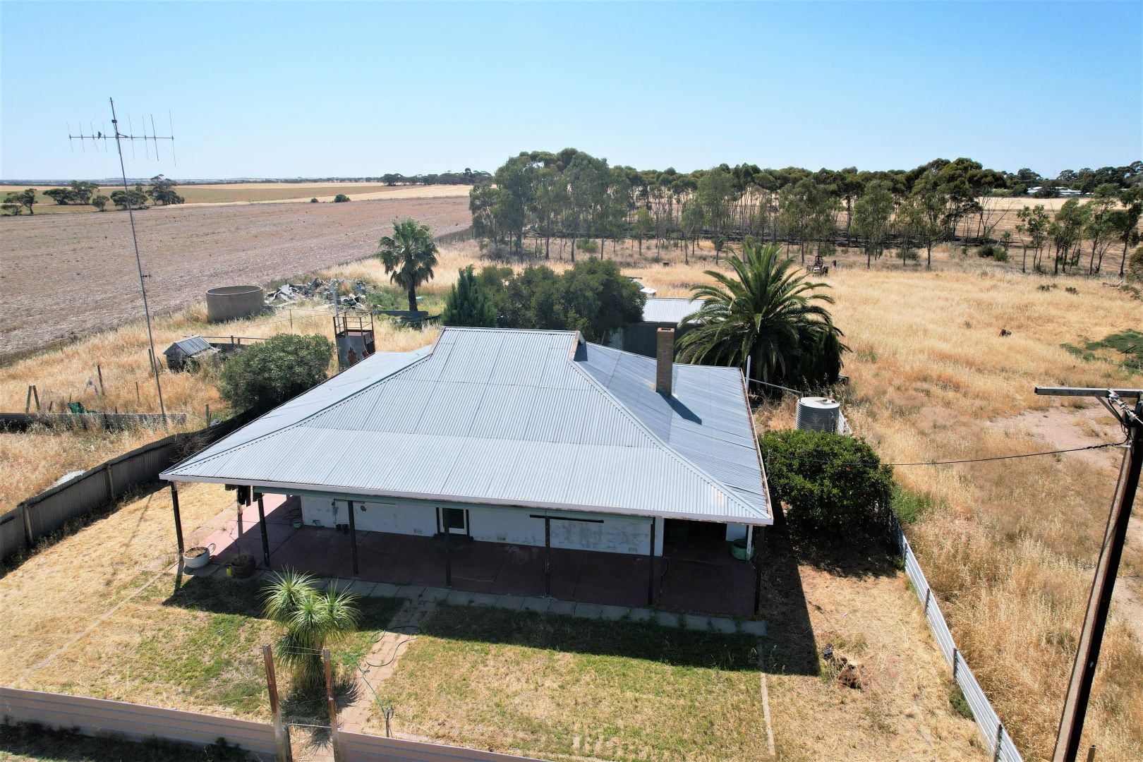 20 Foster Road, Pinnaroo SA 5304, Image 1