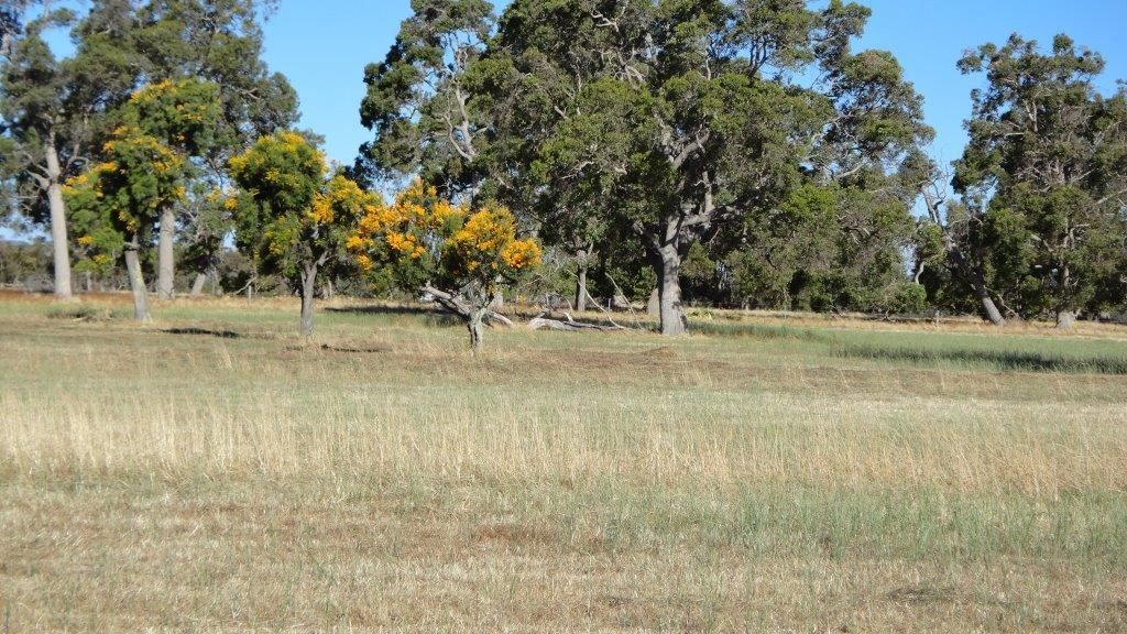 L63 & 64 Campbell Rd, Benger WA 6223, Image 2