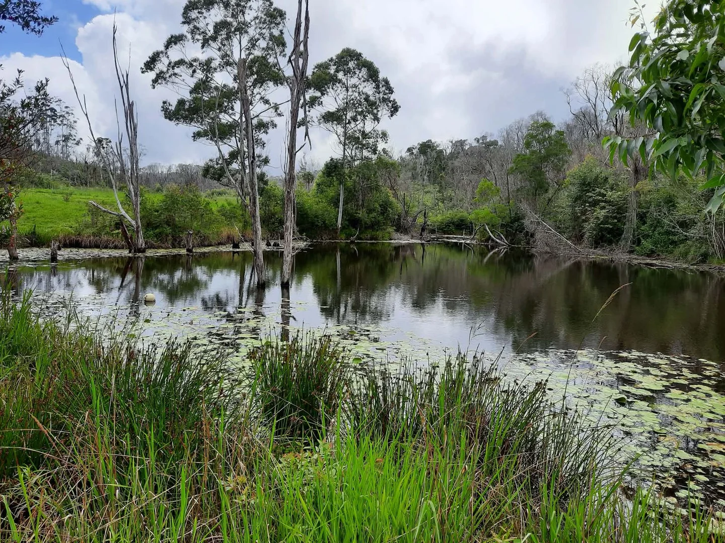 Additional image 15 of 184 Cathay Creek Road, Crediton QLD 4757