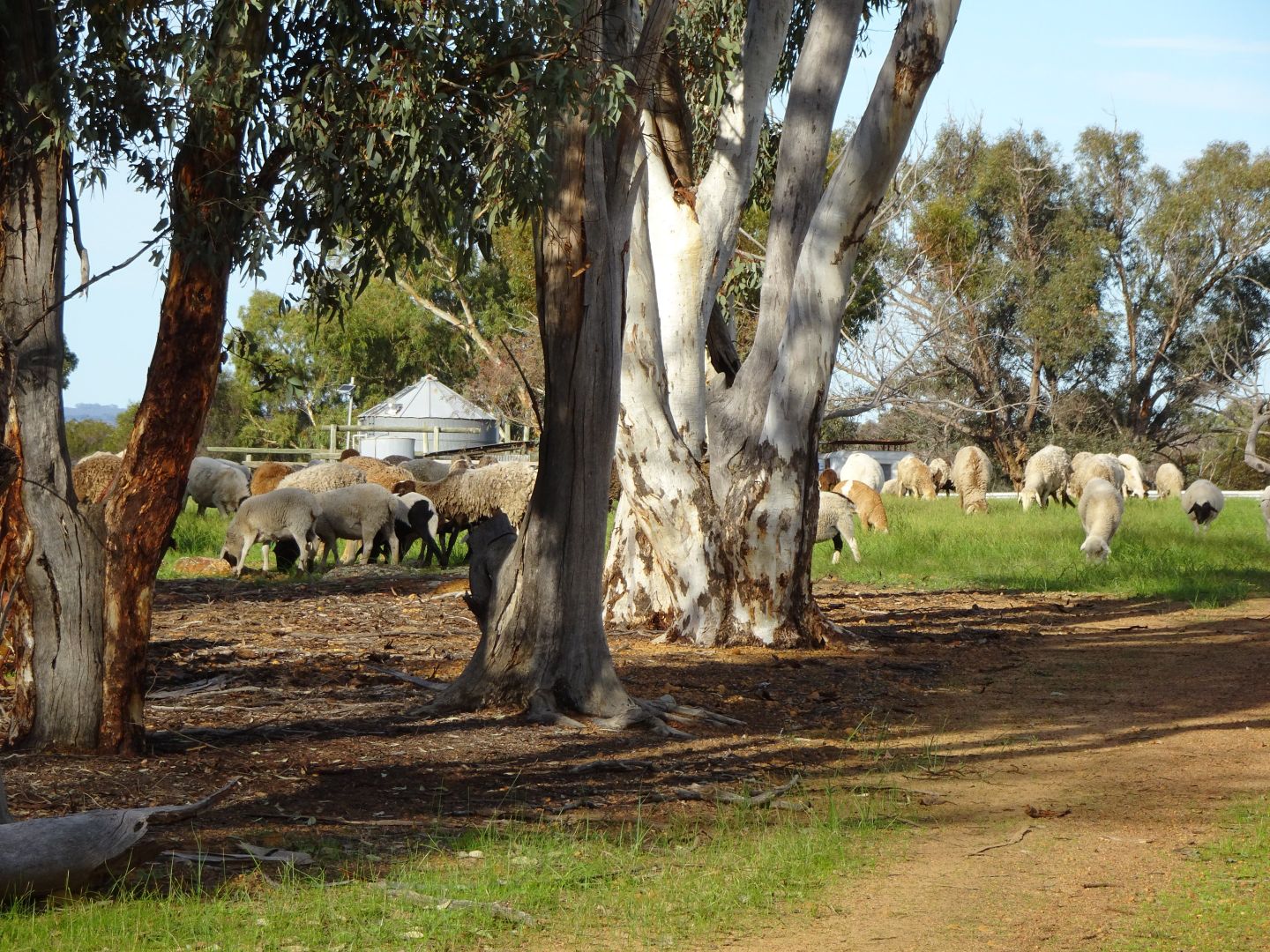 Lot 4 Great Southern Highway, Popanyinning WA 6309, Image 1