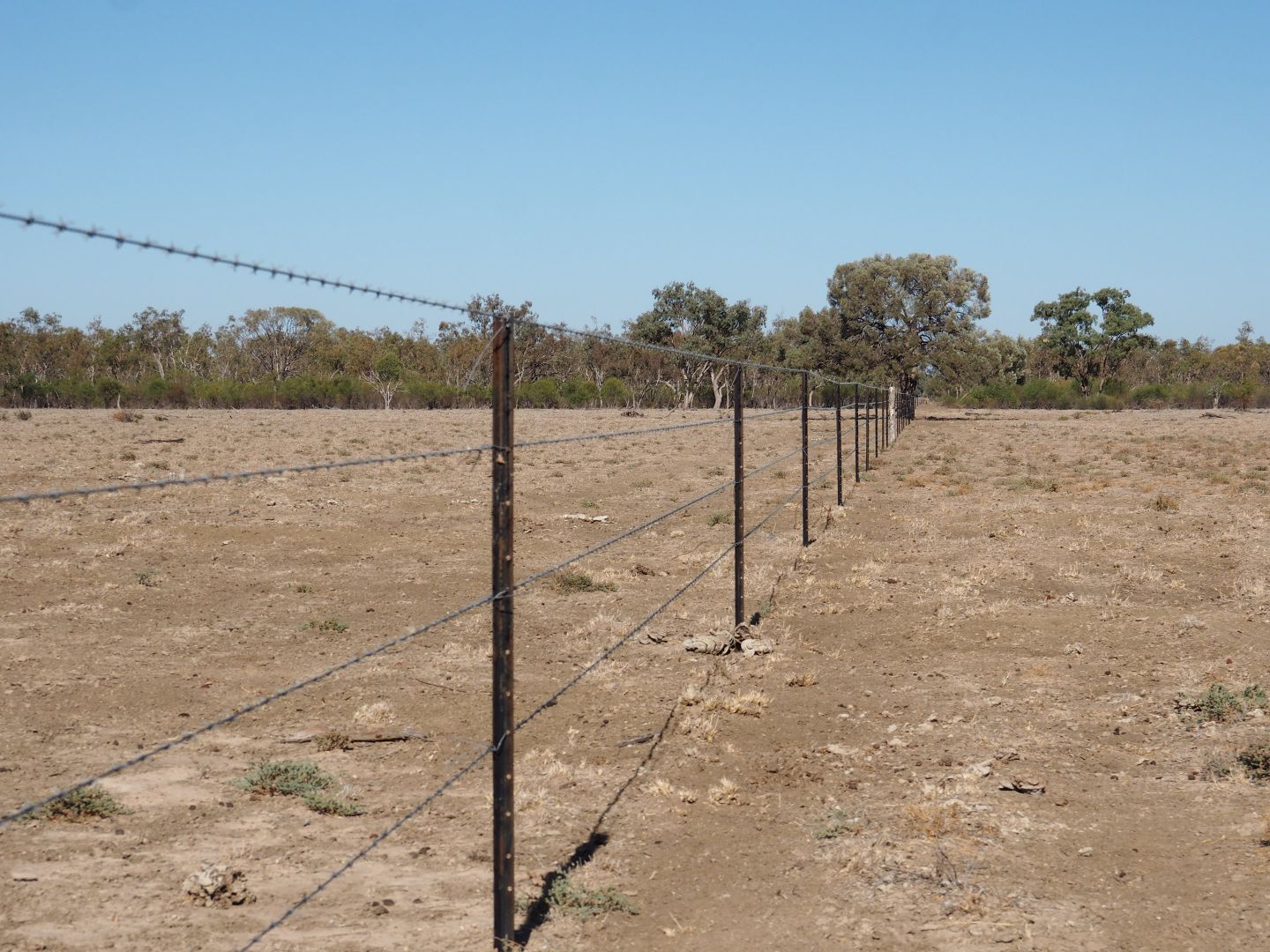 Barcaldine QLD 4725, Image 2