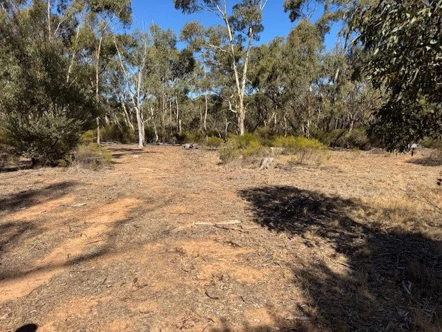 Image 17