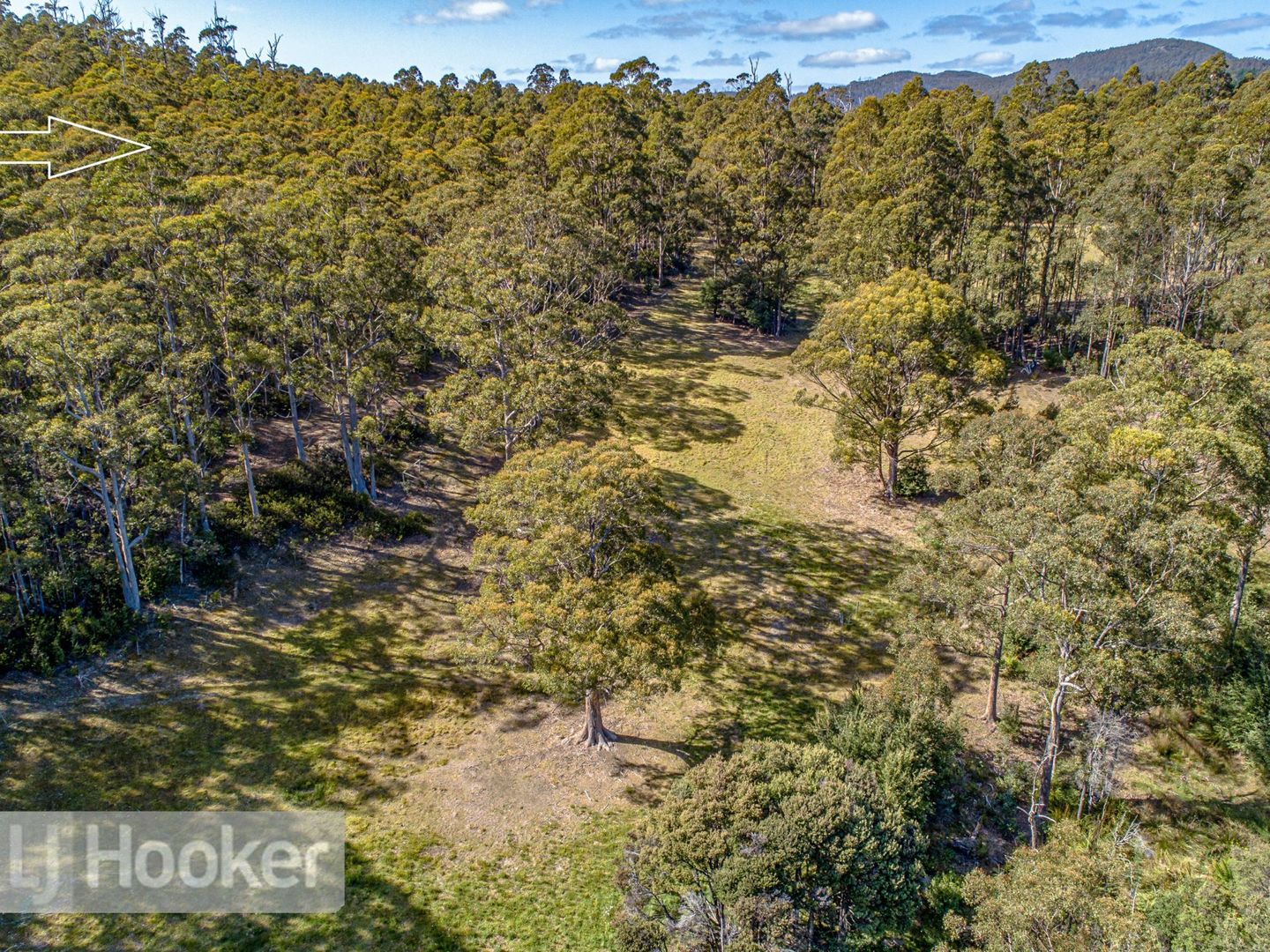 65 Pioneer Road, Kaoota TAS 7150, Image 1