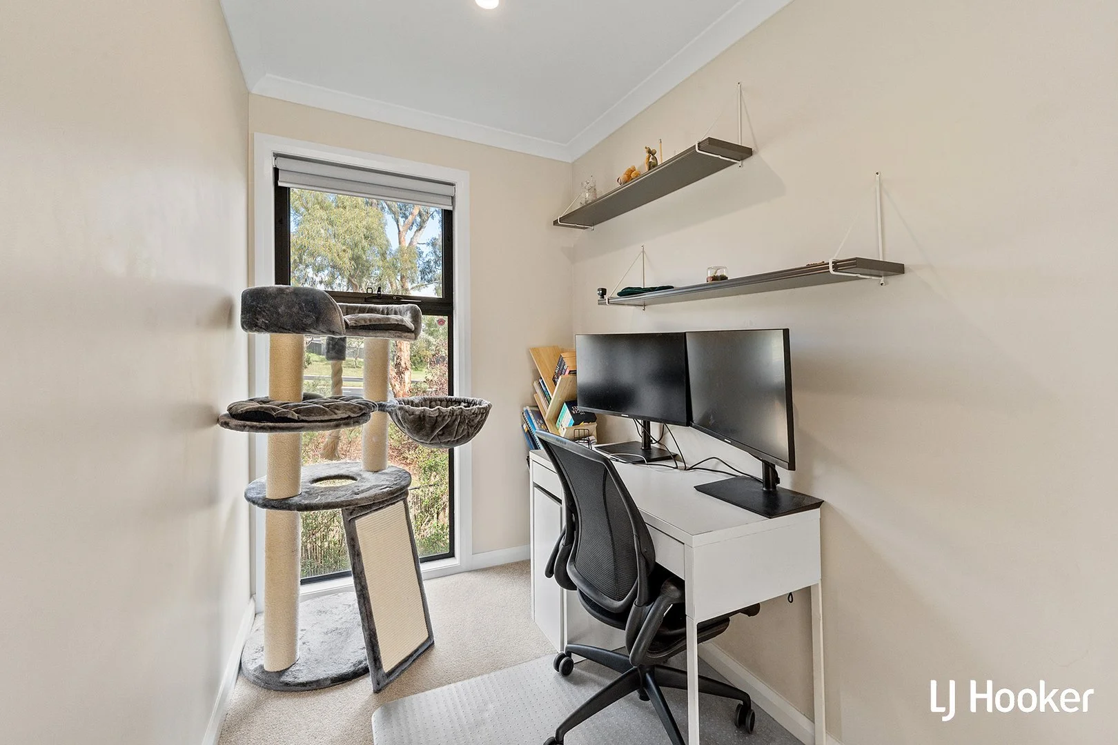 Additional image 9 of 3/8 Newland Street, Flynn ACT 2615