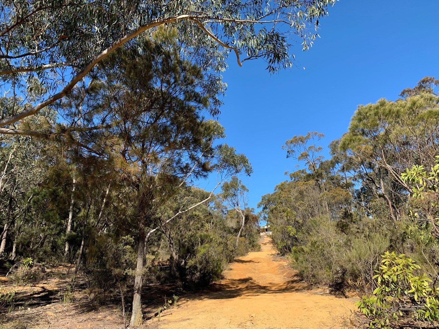 5-7 Clarendon Street, Wentworth Falls NSW 2782, Image 0