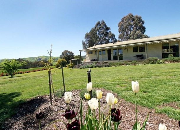 239 Steuarts Road, Glenburn VIC 3717