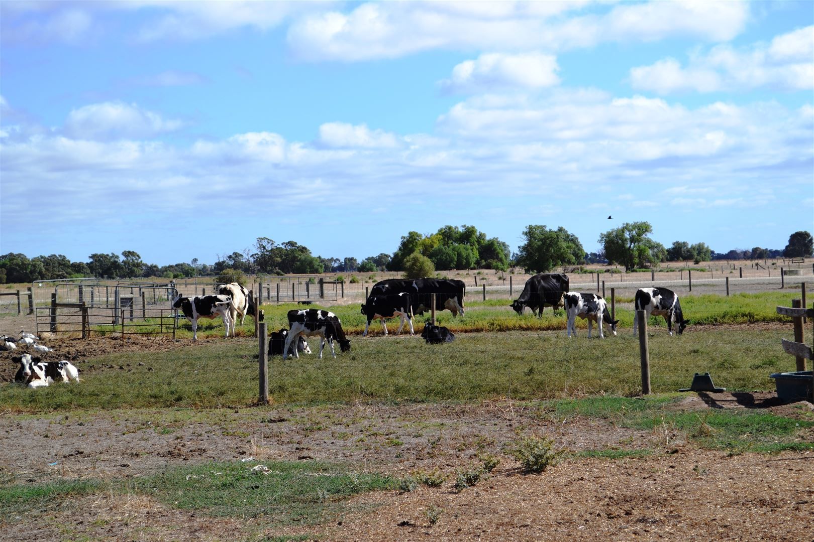 285 Mead Post Office Road, Mead VIC 3568