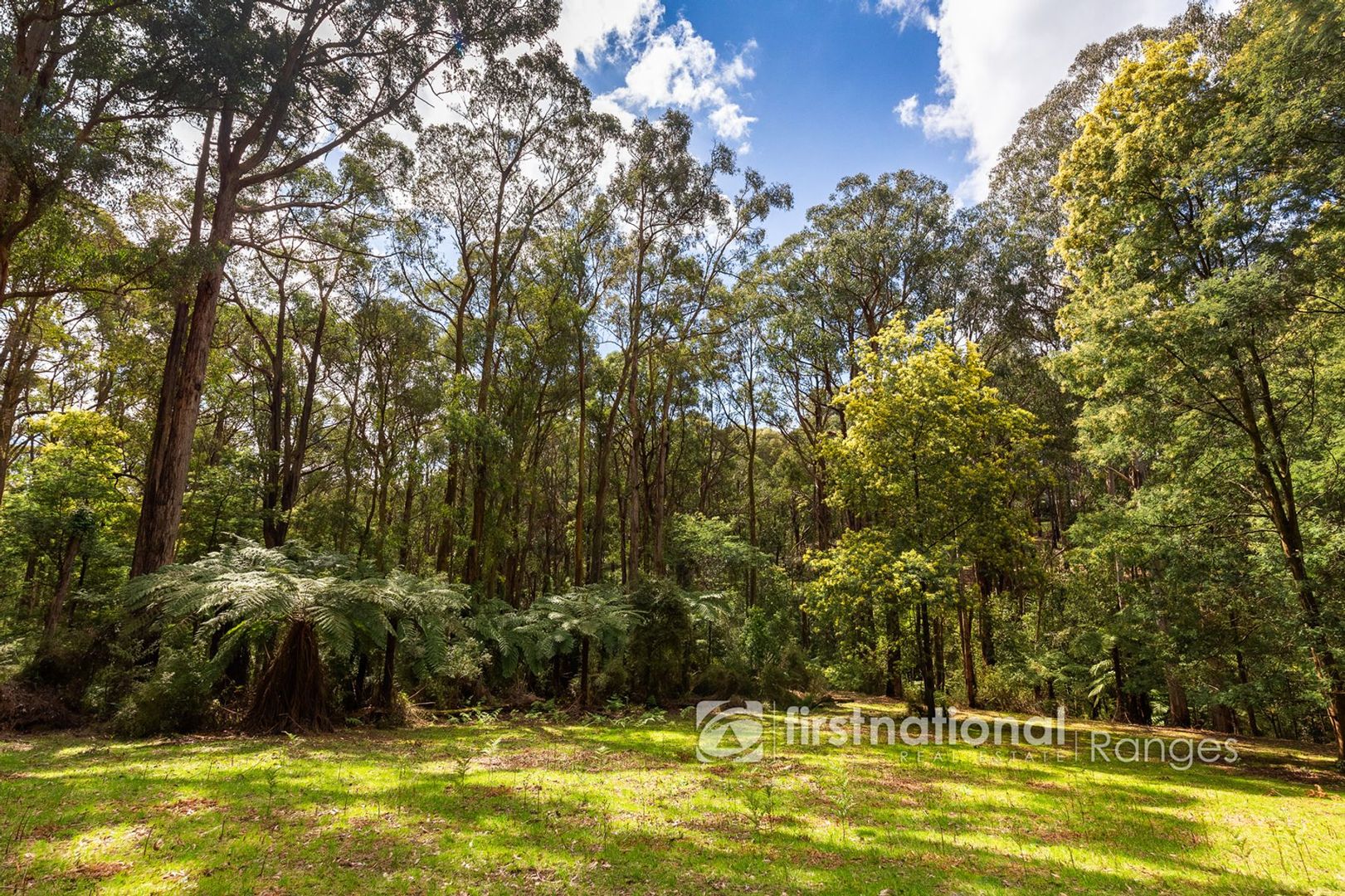 28 Morbey Road, Gembrook VIC 3783, Image 1