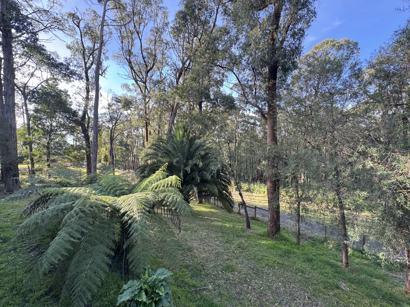 Additional image 11 of 3 Silvan Court, Emerald VIC 3782