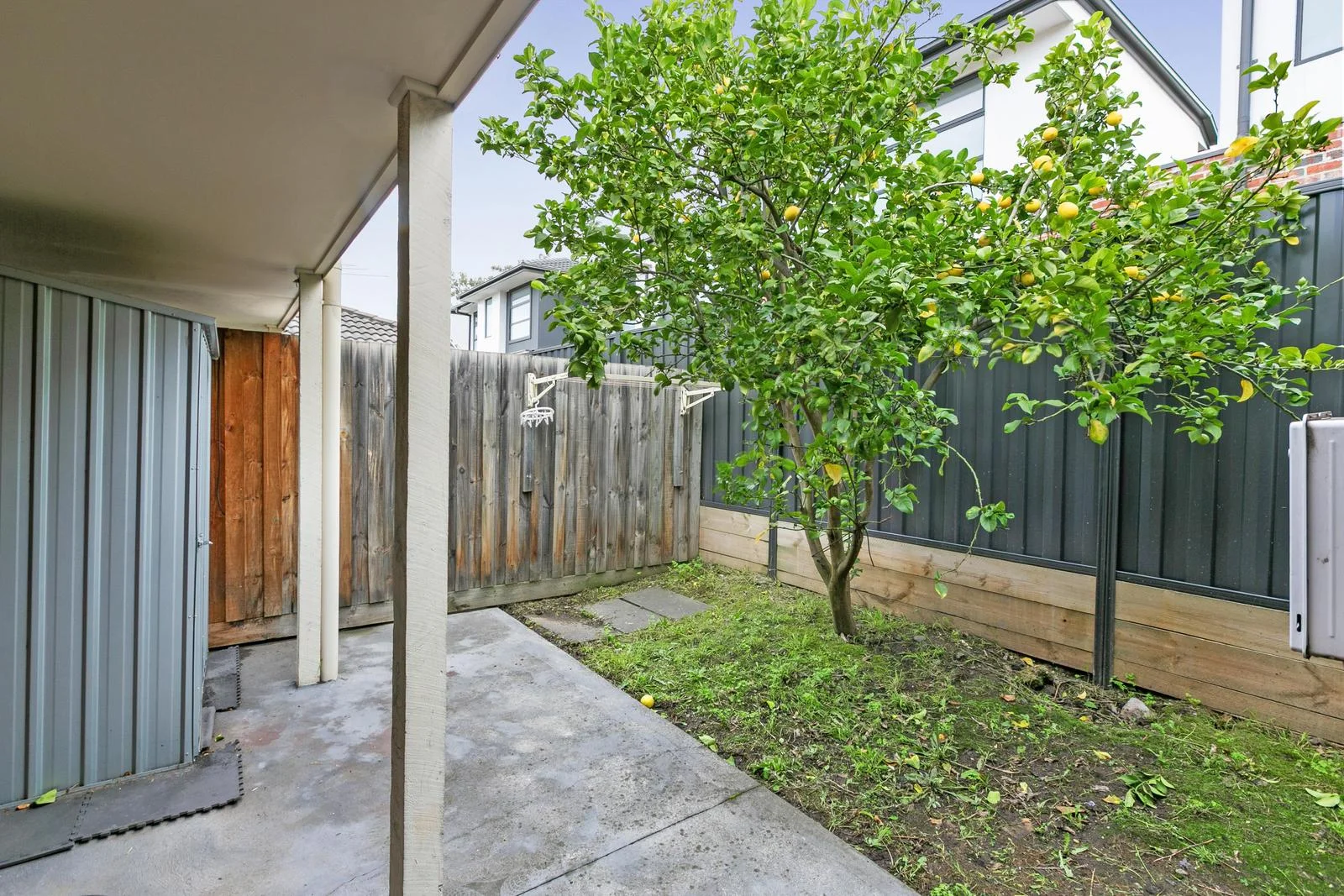 Image 10