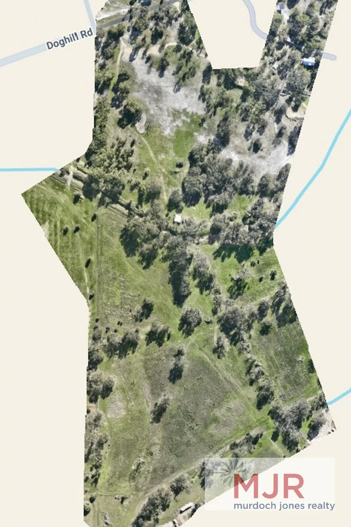 Image 13