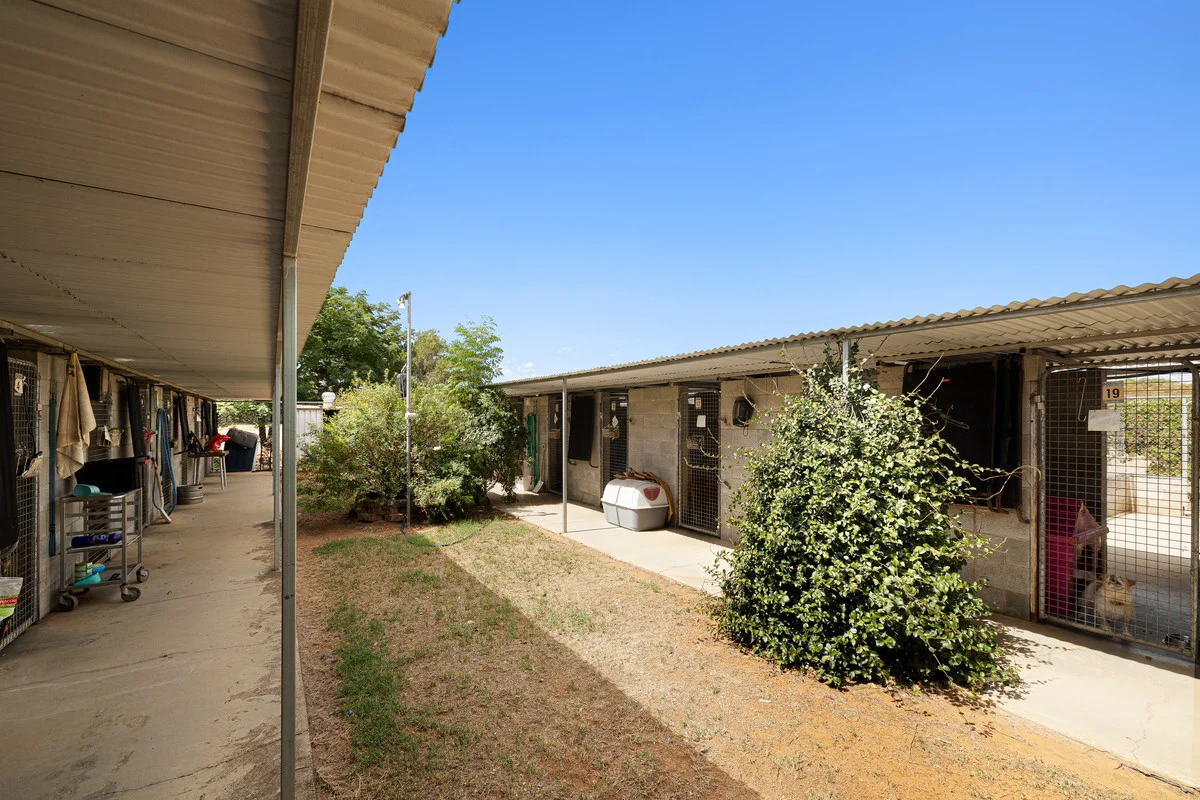 Additional image 13 of 9834 Newell Highway, Narrabri NSW 2390