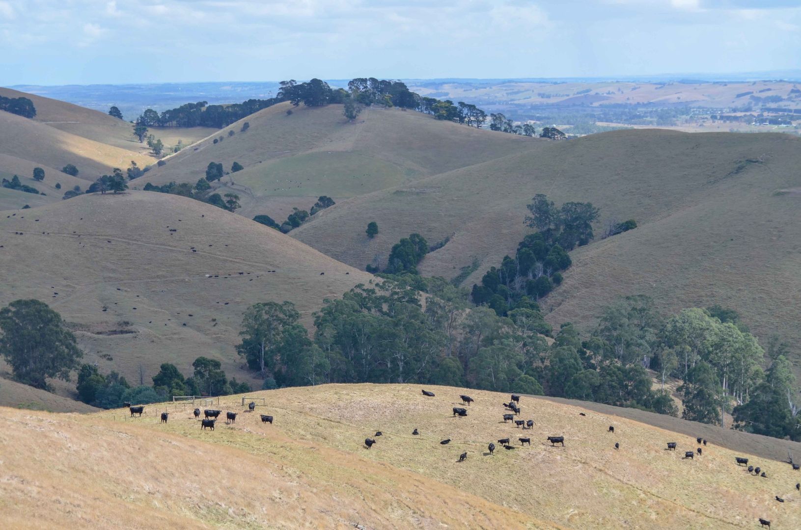 Foster-Mirboo Road, Dollar VIC 3871, Image 2