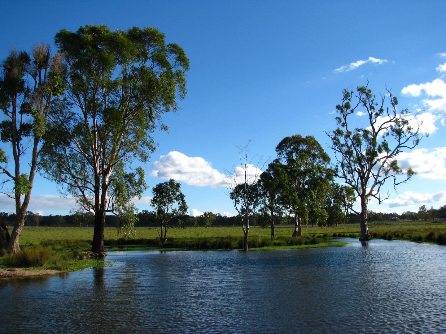 Lot 11 Montrose Lane, Greymare QLD 4370, Image 1