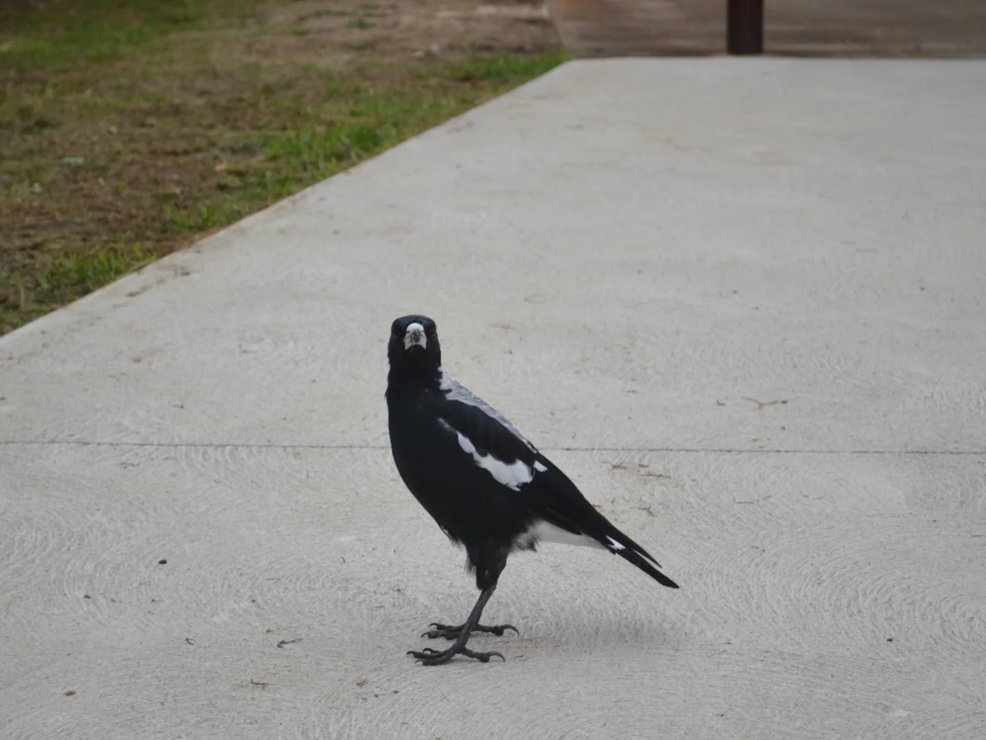 Additional image 23 of 28 Pettit Street, Warragul VIC 3820